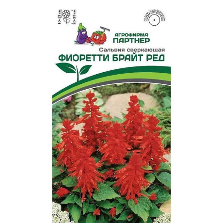 Сальвия Фиоретти Брайт Ред Партнер Ц