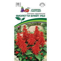 Сальвия Фиоретти Брайт Ред Партнер Ц