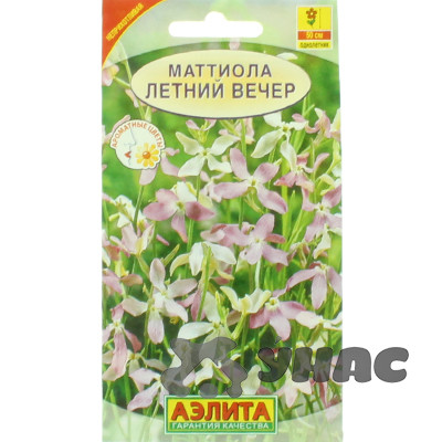 Маттиола Летний вечер Аэлита Ц