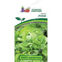 Салат Лука Партнер Ц