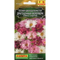 Космея Драгоценный фейерверк Аэлита Ц