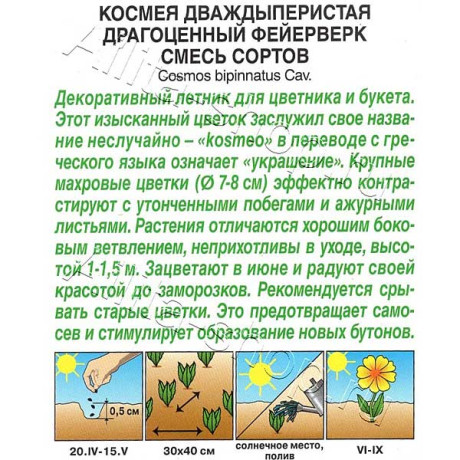 Космея Драгоценный фейерверк Аэлита Ц