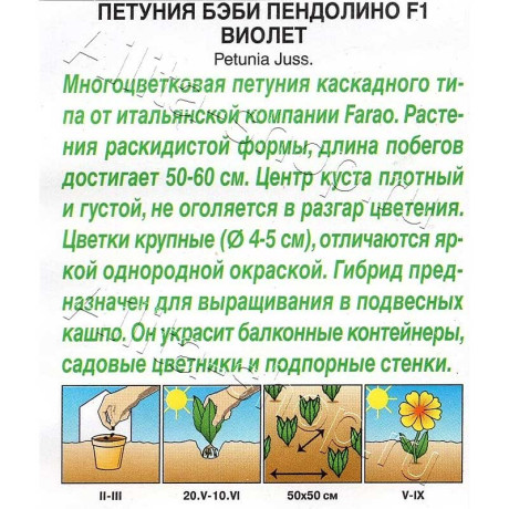Семена Петуния Бэби пендолино виолет Аэлита Цх10