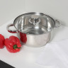 Джерси Кастрюля с крышкой 2,6л, 20х10,0см