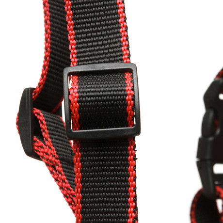 Шлея большая капрон-ватин ширина 25 мм  обхват шеи 60-80 см