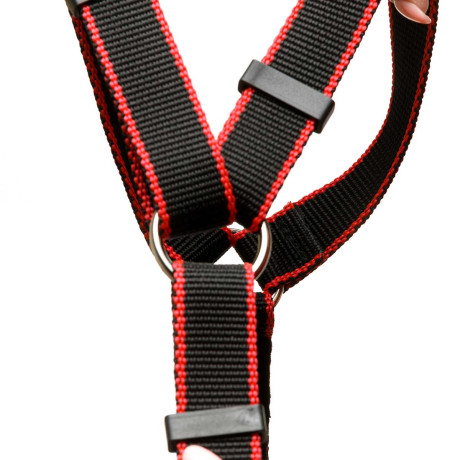 Шлея большая капрон-ватин ширина 25 мм  обхват шеи 60-80 см