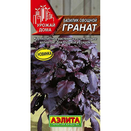 Базилик Гранат Аэлита Цх10