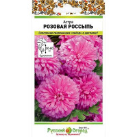 Астра Розовая россыпь НК