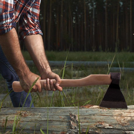 Топор кованный, в сборе, 890/1200 г, деревянное топорище, 500 мм, АО,