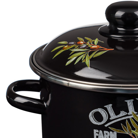 Ветка оливы Кастрюля эмалированная 3л