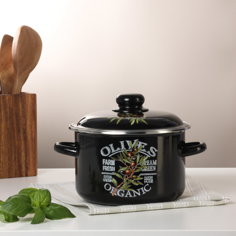 Ветка оливы Кастрюля эмалированная 3л