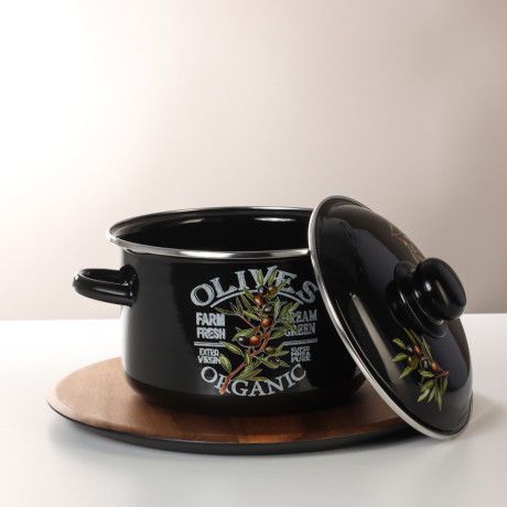 Ветка оливы Кастрюля эмалированная 3л