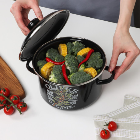 Ветка оливы Кастрюля эмалированная 3л