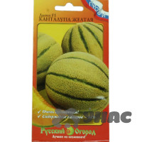 Дыня Канталупа желтая НК Ц