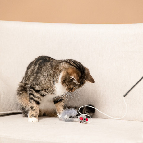 VETTA Игрушка - дразнилка, для домашних животных, полипропилен, полиэстер, АБС-пластик, 35 см