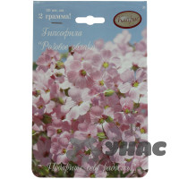 К Гипсофила Розовое облако Розовая Каприс