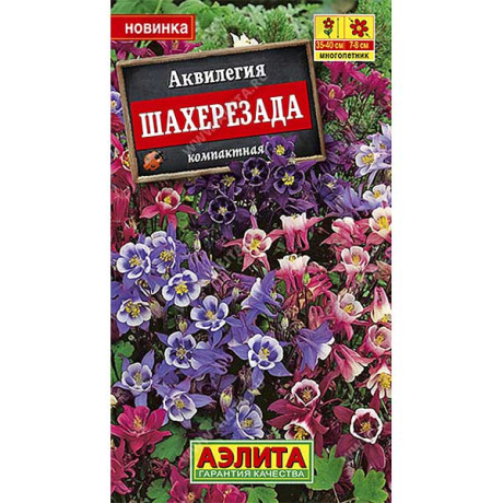 Аквилегия Шахерезада Аэлита Ц