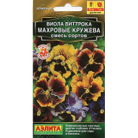 Виола Махровые кружева Аэлита Ц