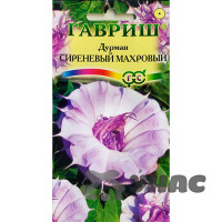 Дурман Сиреневый махровый Гавриш Ц
