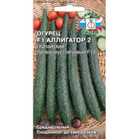 Огурец Аллигатор 2 Седек Ц