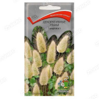 Декоративные злаки Зайцехвост Поиск Ц