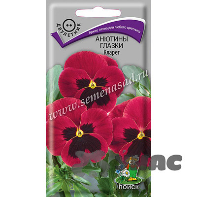 Анютины Глазки Кларет Поиск Ц