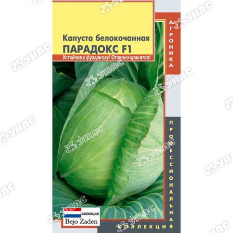 Капуста Парадокс Плазма Ц