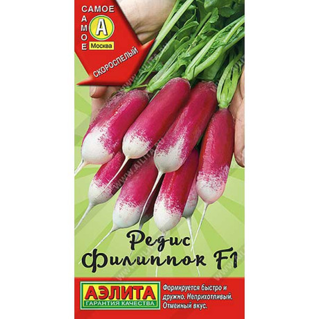 Редис Филиппок Аэлита Ц