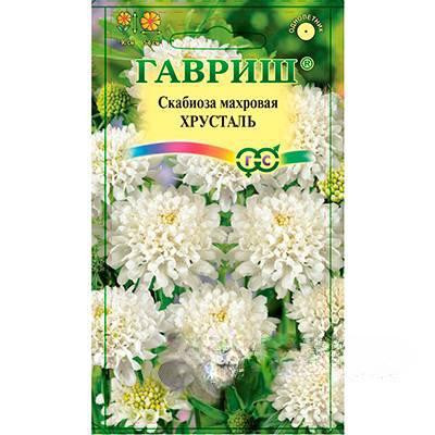 Скабиоза Хрусталь Гавриш Ц