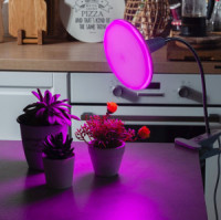 Uniel фито лампа св/д для растений UFO E27 16W 18мкм/с матов/пласт 150x78 LED-U150-16W/SPSB/E27/FR