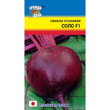 Свекла Соло Урожай у дачи Ц