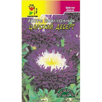 Астра Десерт Царский помпон. ЦветСад Ц