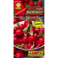 Редис Выскочка Аэлита Цх10