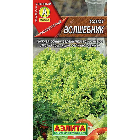 Салат Волшебник Аэлита Ц