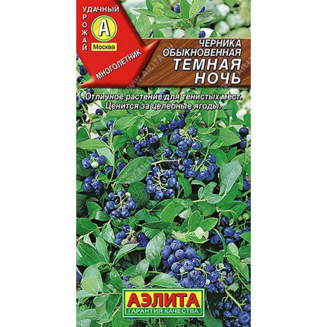 Черника Темная ночь Аэлита Ц