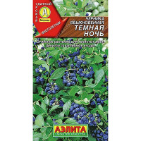 Черника Темная ночь Аэлита Ц