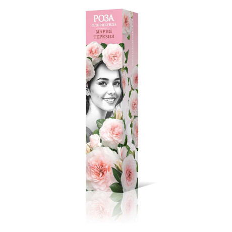 Роза флорибунда Мария Терезия Садовита