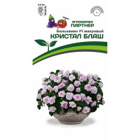 Бальзамин Кристал Блаш Партнер Ц