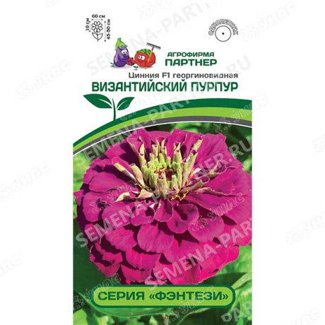 Циния Византийский пурпур Партер Ц