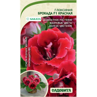 Семена комнатная Глоксиния Брокада красная 4шт Sakata/Садовита Ц