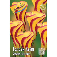 Оксалис (Кислица) Голден Кейп I 2 шт