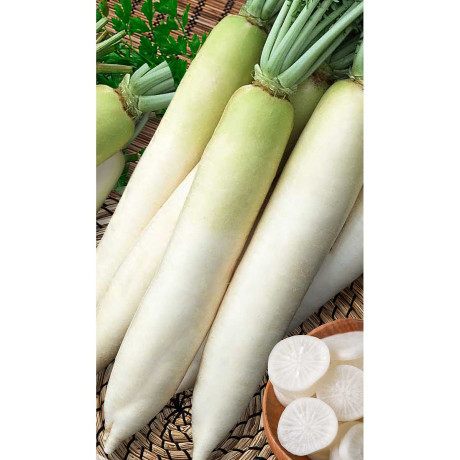 Дайкон Дубинушка 1гр Садовита Ц