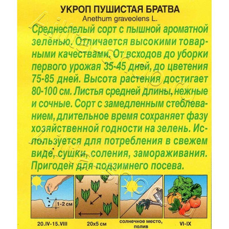 Семена Укроп Пушистая братва Аэлита Ц