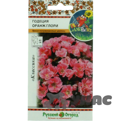 Годеция Оранж Глори НК Ц