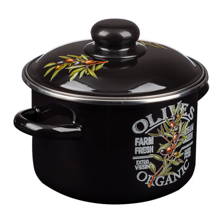 Ветка оливы Кастрюля эмалированная 2л