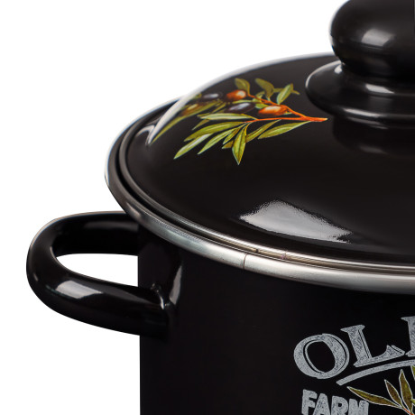 Ветка оливы Кастрюля эмалированная 2л