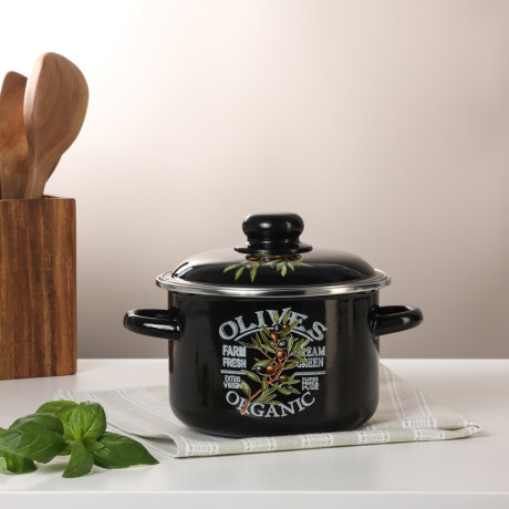 Ветка оливы Кастрюля эмалированная 2л