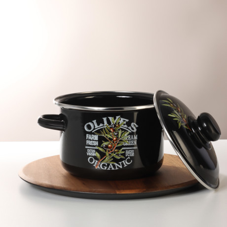 Ветка оливы Кастрюля эмалированная 2л