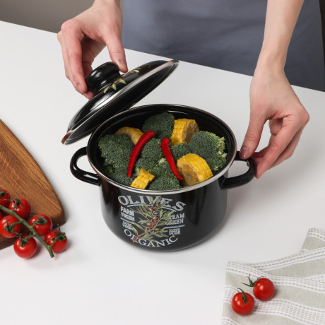 Ветка оливы Кастрюля эмалированная 2л