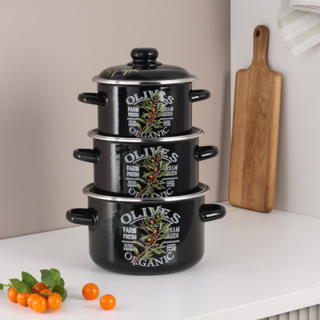 Ветка оливы Кастрюля эмалированная 2л